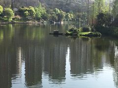 -重庆彩云湖湿地公园