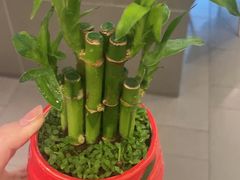 -锐动健身游泳(博地中心店)