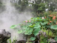 -杭州西湖柳莺里酒店
