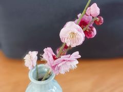 -轮渡红巷旅游码头