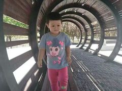 -永定河休闲森林公园