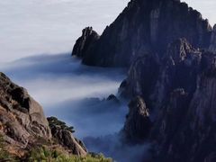 -自游人·美食一楼·地道徽菜(三十年名店)