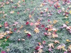 -杭州城北体育公园