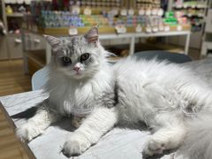 -听TA说宠咖·宠物生活馆(天韵水岸店)