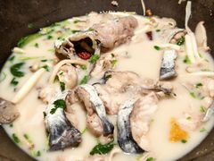 -鲜潭蒸汽石锅鱼(五道口购物中心店)