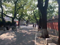 -北京国子监胡同
