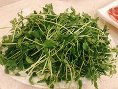 豌豆苗-八先生涮肉房(三里河店)