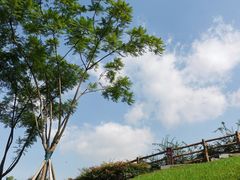 -铜锣山矿山公园