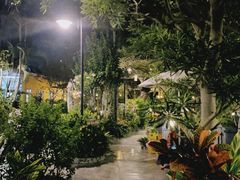 -天然居(伦教店)