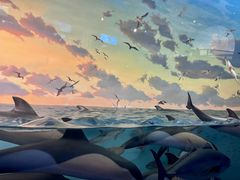 -美国自然历史博物馆