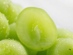 -美家乐农庄·露营·团建(大治路店)