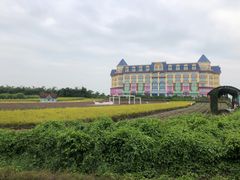 -百万葵园
