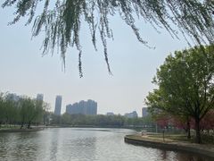 -泰丰公园