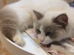 -Pets First伊珊娜洗护·精致美容·家庭式寄养(新会路店)