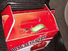 -小鱼草莓采摘园农家乐·小鱼餐厅