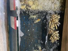 -阿杜打边炉(五江天街店)