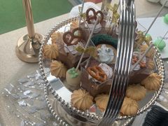 -汪说喵讲宠物乐园宠物酒店(红星美凯龙店)