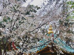 -飞马旅黎黄陂路文旅街区