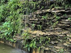 -广州神农草堂中医药博物馆