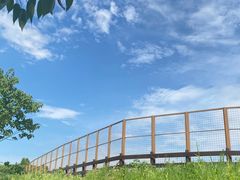 -良渚古城遗址公园