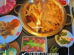 -九鼎轩脆毛肚火锅(南京东路店)