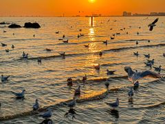 -老虎石海上公园