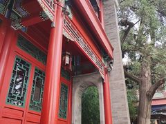 -莲池书院博物馆