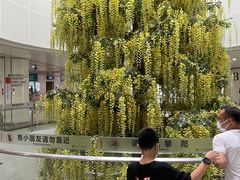 -南方医科大学深圳医院