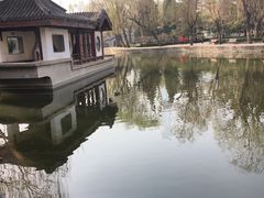 -团结湖公园