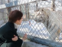 -横道河子东北虎林园
