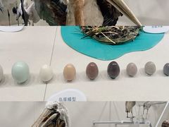 -中国湿地博物馆