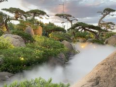 -罗红摄影艺术馆