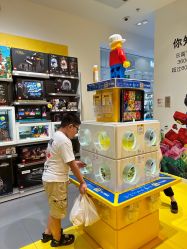 -乐高授权专卖店(朝阳大悦城店)