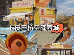 -首开·龙湖成都西宸天街