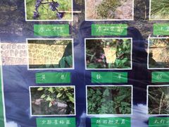 -北京上方山国家森林公园