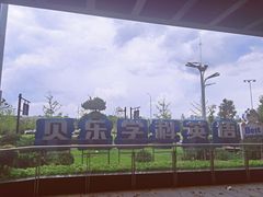 -贝乐少儿英语·全外教(滨江中心)