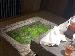-觀芷隐轩