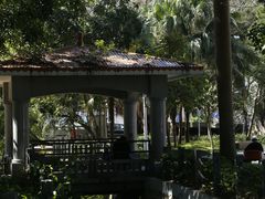 -梧桐山风景名胜区