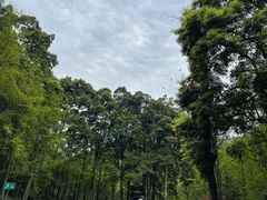 -青城山