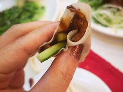 -九花山烤鸭店