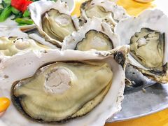 生蚝-蚝专家(北滘店)