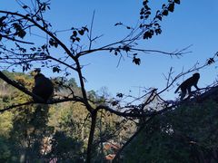 -黔灵山公园-南门售票处