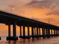 -宝安西湾红树林湿地公园