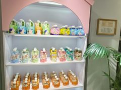 -青奢宠物·青奢猫舍