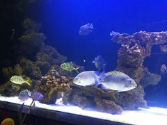 -暹罗酒肆泰餐厅酒吧