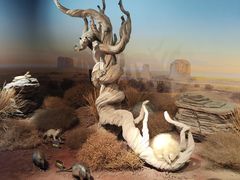 -陕西自然博物馆