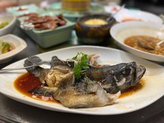 清蒸鲑鱼-羲和雅苑•北京烤鸭(国贸商城店)