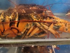 -Sasa的海(蜈支洲岛后海店)