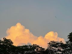 -小南山公园