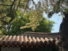 -莲池书院博物馆
